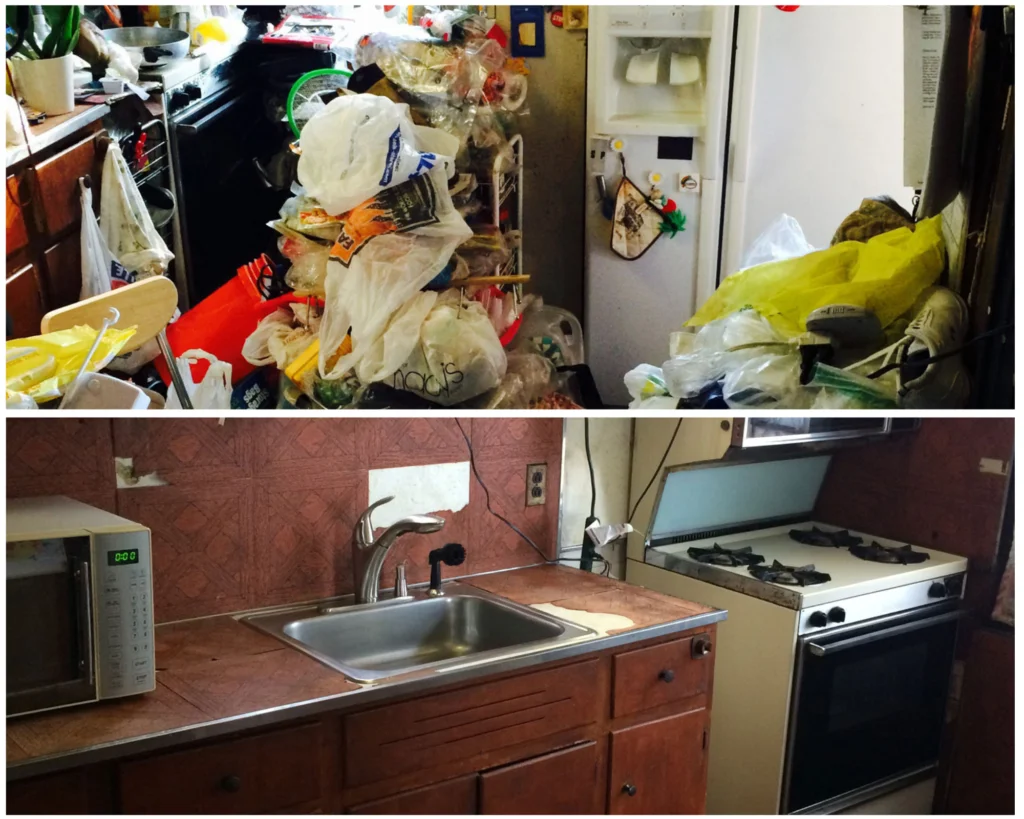 diogène nettoyage avant après